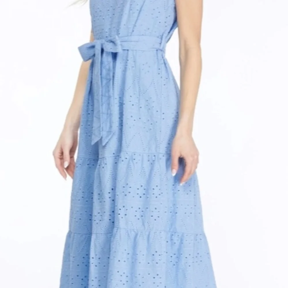 Blue Eyelet Midi Dress - Picture 4 of 5